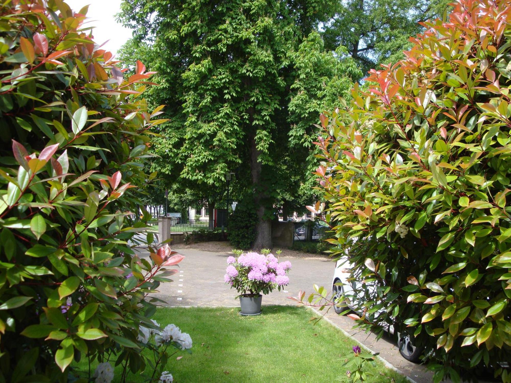 Bellevue Hotel 3*